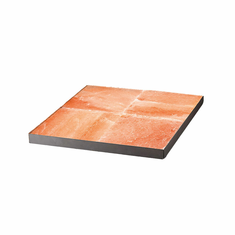 Saltblock komplekts Metos Dry Ager DX 1000P